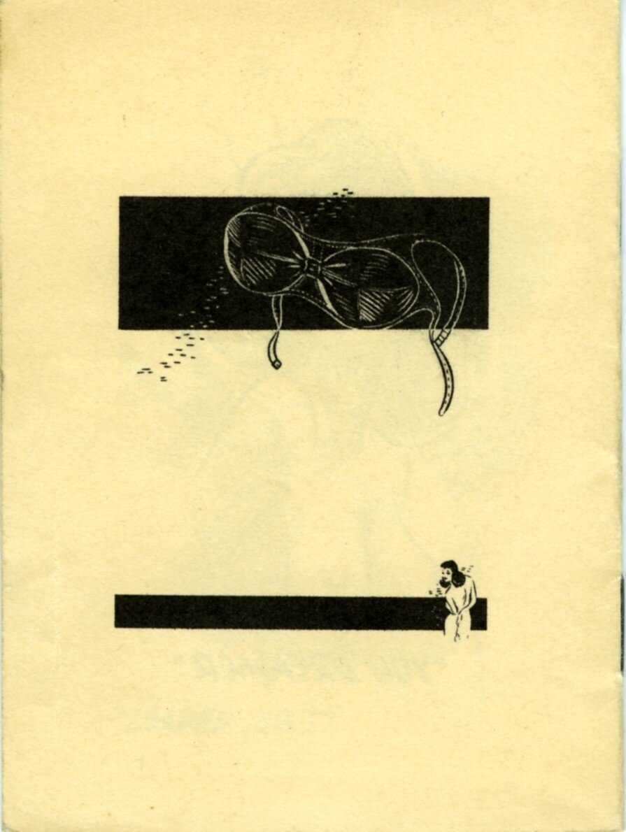 Back cover of the book