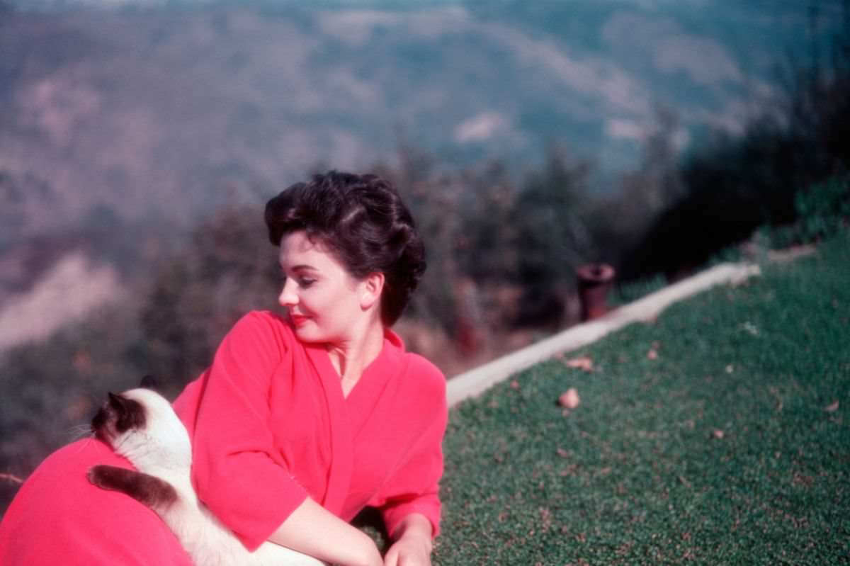 British actress Jean Simmons hangs out on set with a Siamese in 1954.