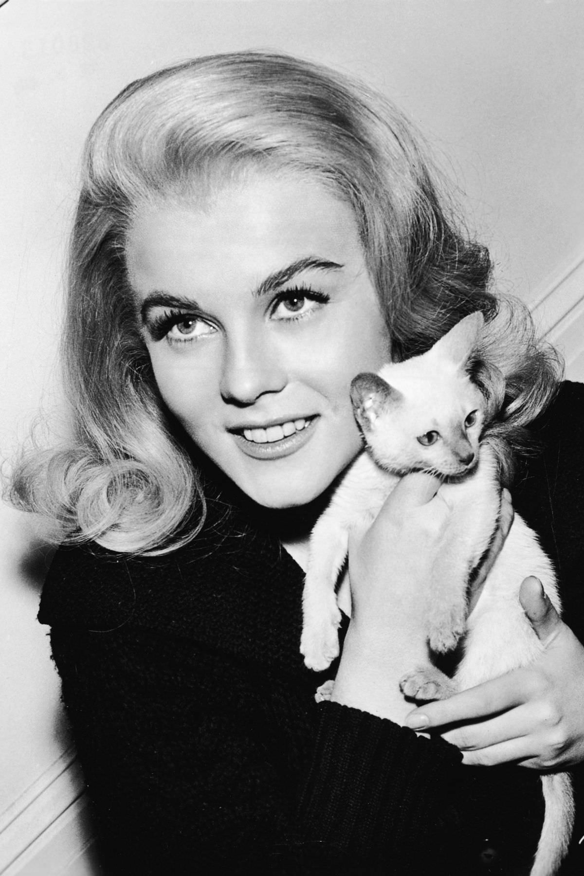 Swedish actress Ann-Margret framed her face with a Siamese kitten to promote her upcoming film, Kitten With a Whip, 1964.