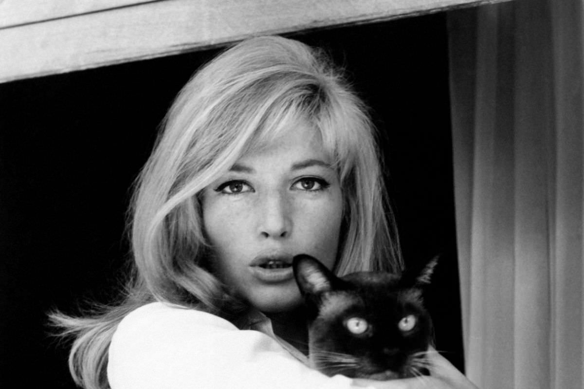 The Italian actress Monica Vitti also often carried a cat in her arms while shooting the film High Infidelity.