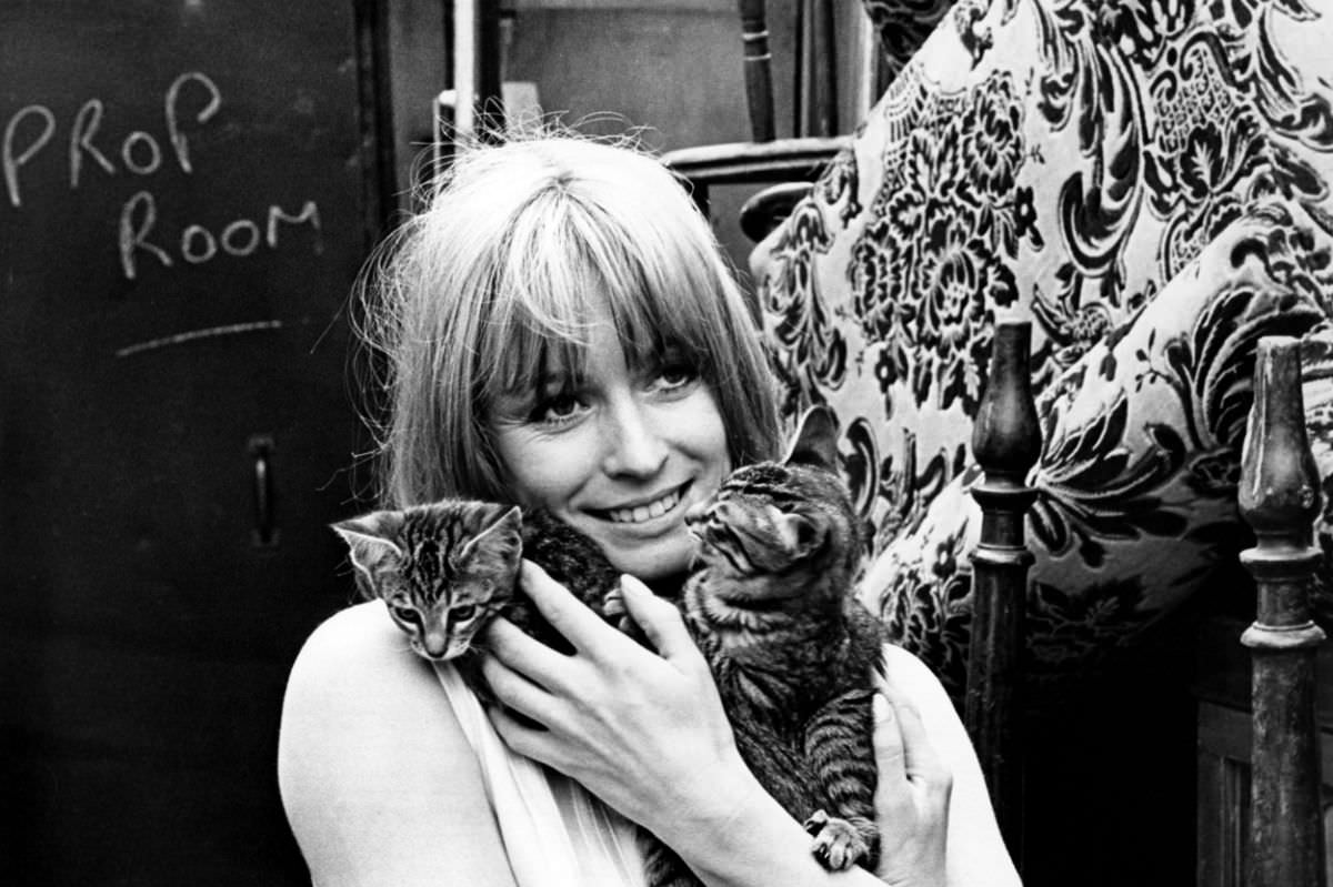 The English actress Suzy Kendall holds a pair of kittens on the set of Up the Junction, directed by Peter Collinson, in 1968.