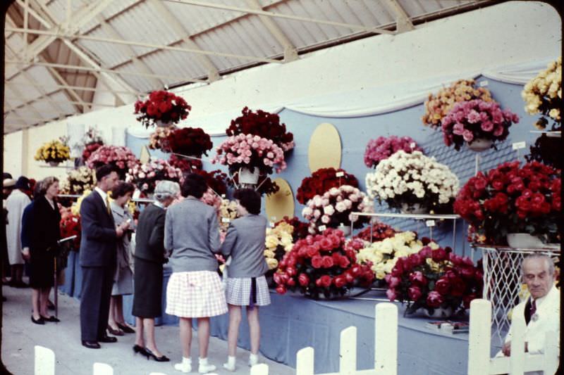 Flowers at RDS Horse Show, Dublin, 1961