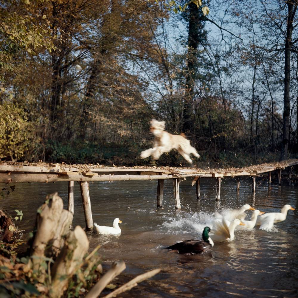 Paris, October 1964