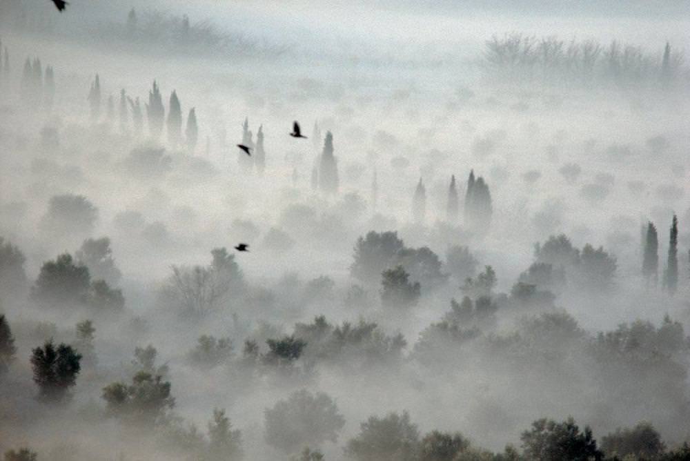 A misty aerial view