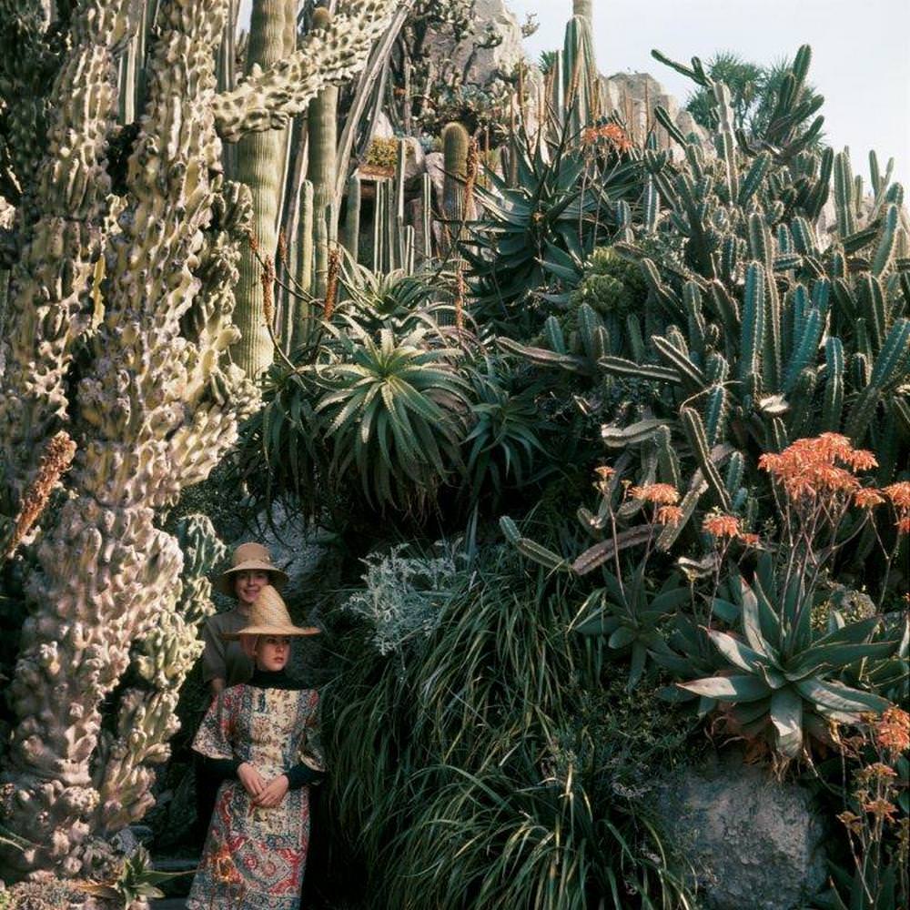 Florette and Stéphanie, Exotic Garden, Monaco, April 13, 1964