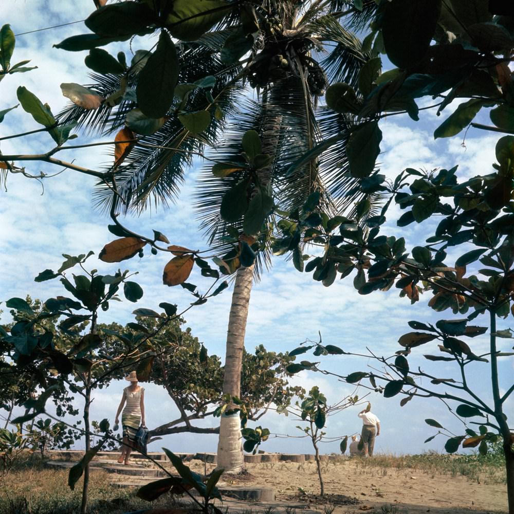 Florette Puerto Cabello, 1962.