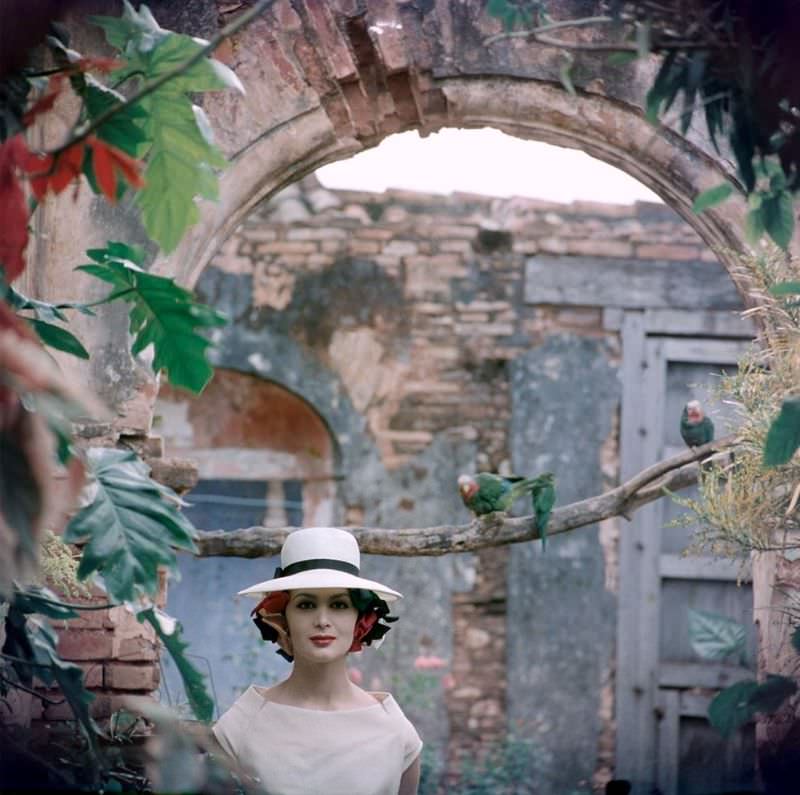 Isabella is wearing a Panama hat designed by Adolfo, framed by leaves in the patio of a 140-year old house in Cuba, 1958