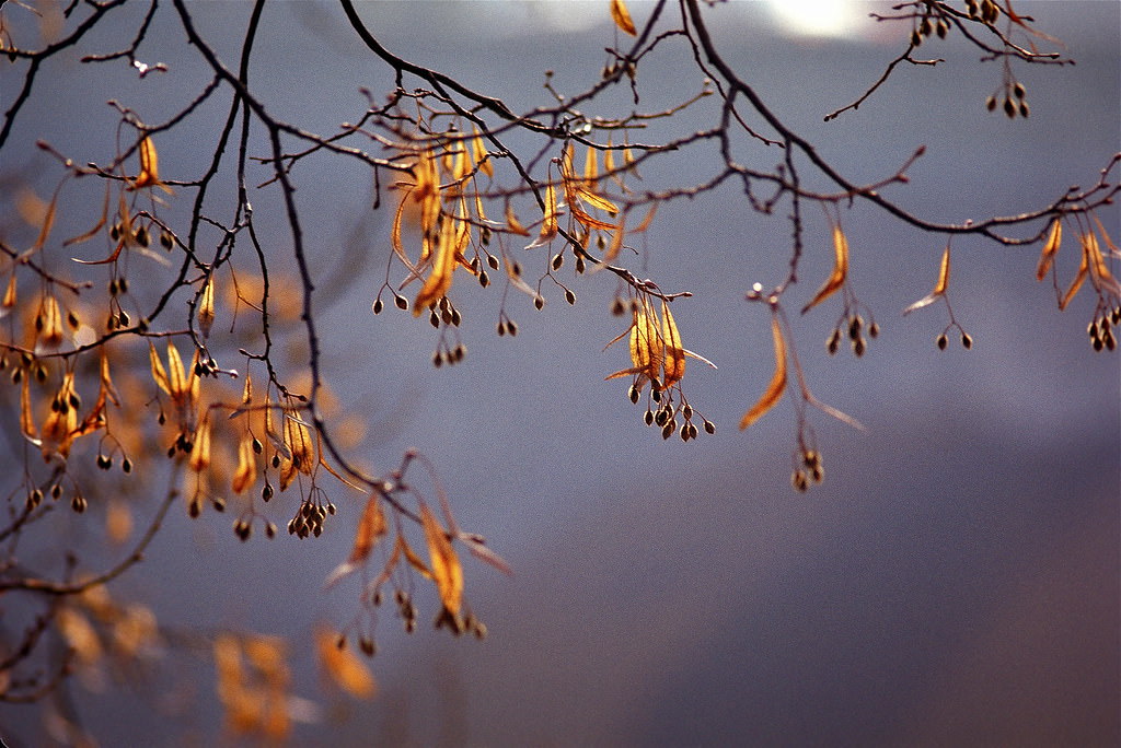 The promise of renewal, Luxembourg City, Jan 1972