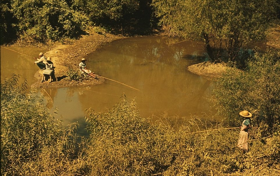 Fishing in a creek near cotton plantations outside Belzoni. Mississippi Delta, October 1939