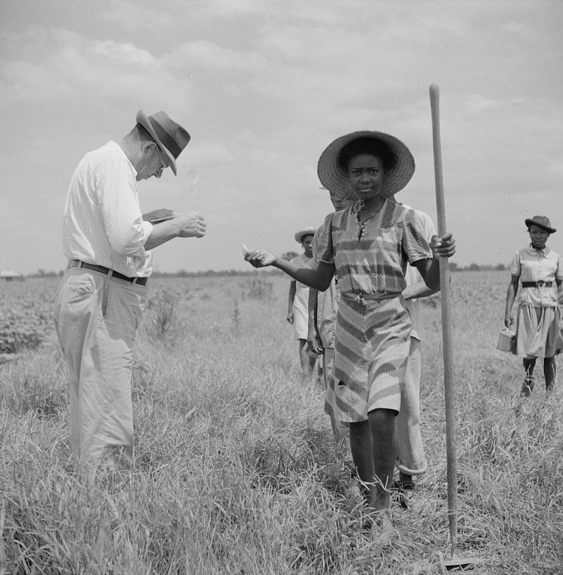 Day labor is used almost exclusively on Hopson plantation, displacing the old tenants on the place. Mississippi Delta, 1939.