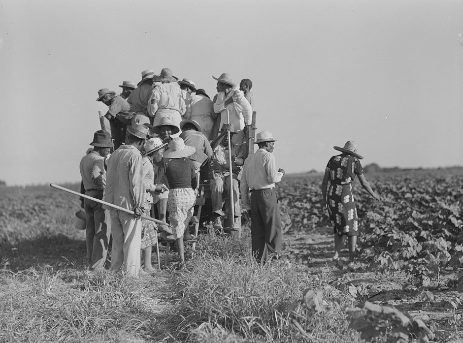 Hopson Plantation, Clarksdale. Mississippi Delta, August 1940.