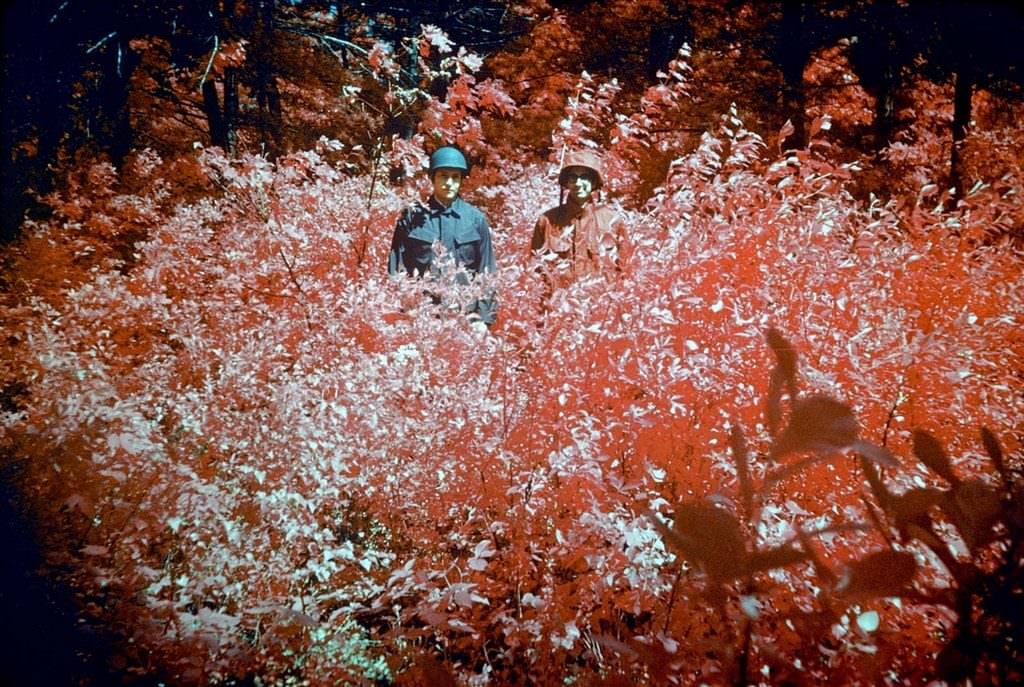 Infra-red camouflage, 1974.