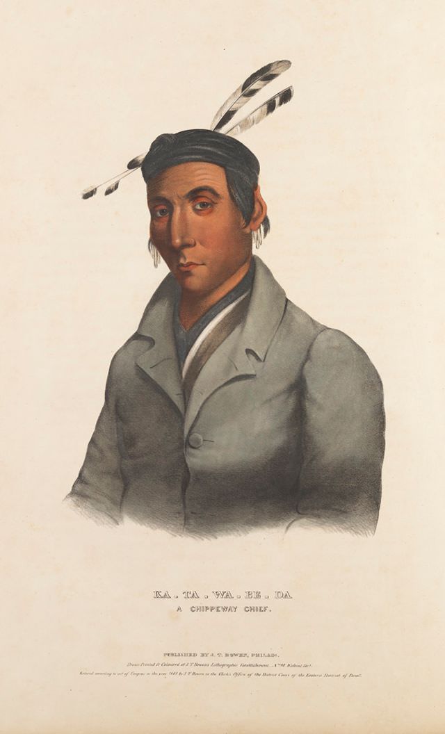 Ka-Ta-Wa-Be-Da, A Chippeway Chief