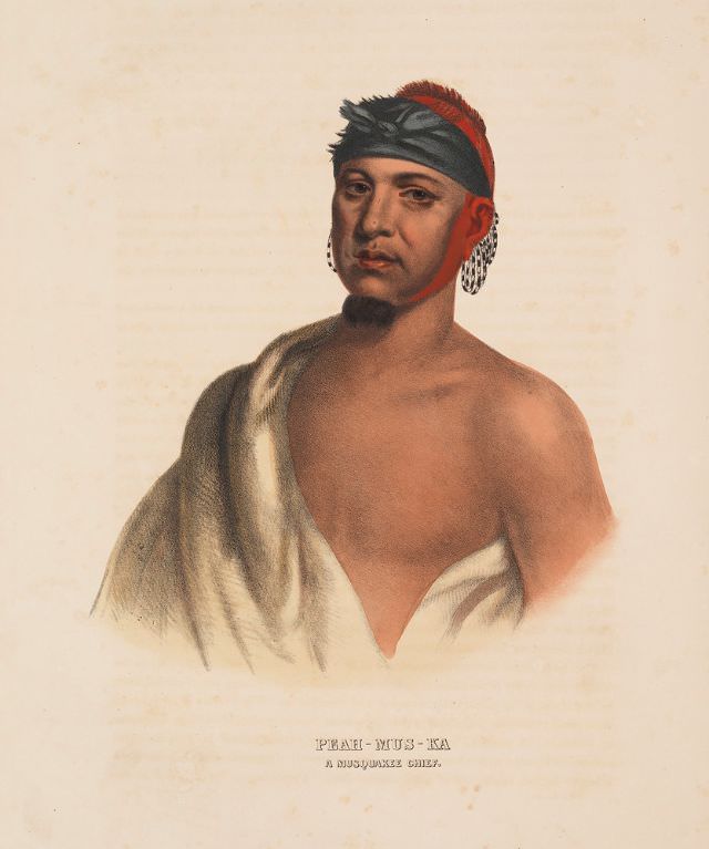 Peah-Mus-Ka, A Musquakee Chief