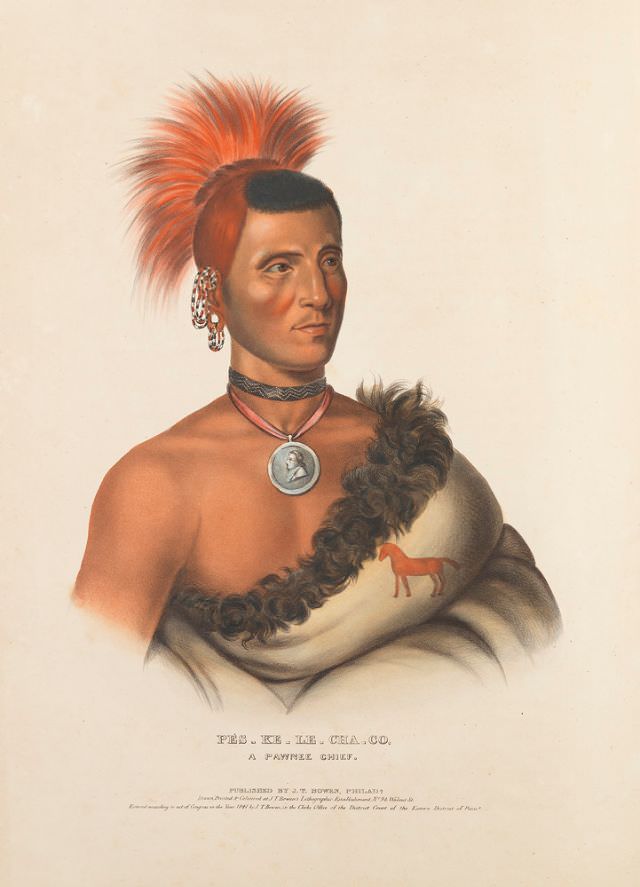 Pes-Ke-Le-Cha-Co, A Pawnee Chief