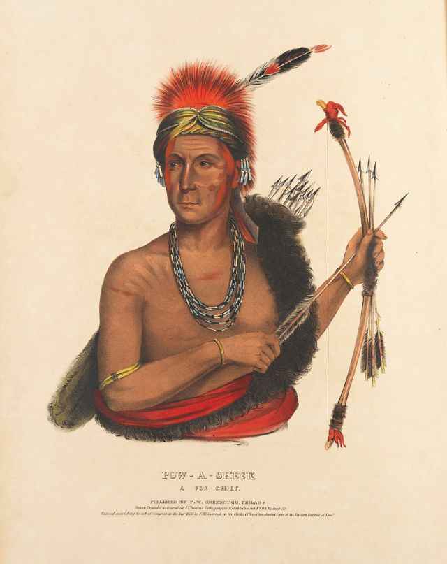 Pow-A-Sheek, A Fox Chief