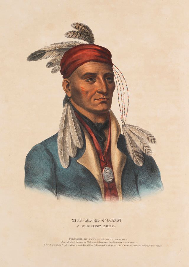 Shin-Ga-Ba-W'Ossin, A Chippeway Chief