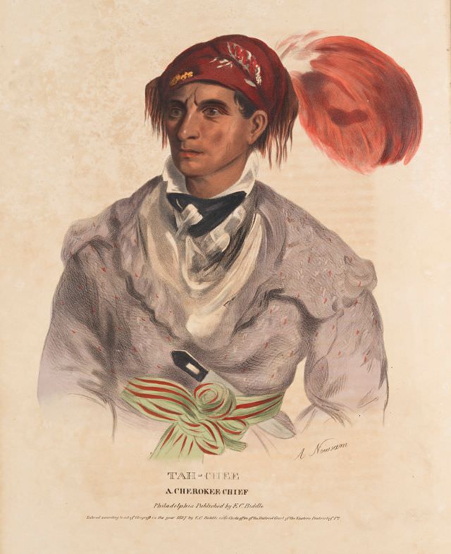 Tah-Chee, A Cherokee Chief