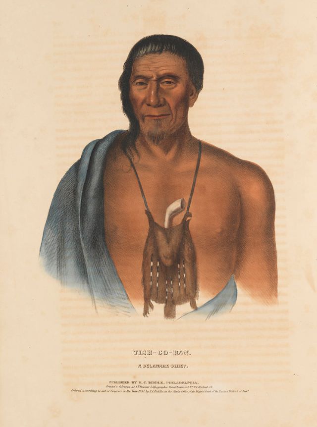 Tish-Co-Han, A Delaware Chief