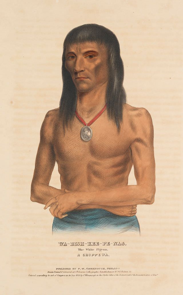 Wa-Bish-Kee-Pe-Nas, The White Pigeon, A Chippewa