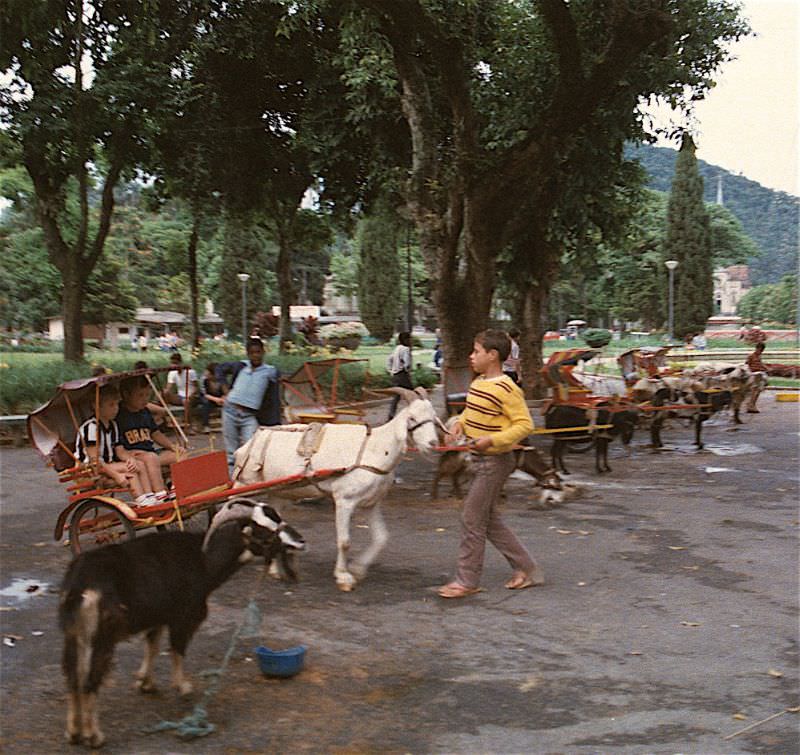 Goat-drawn buggies, Petrópolis, Rio de Janeiro, 1984