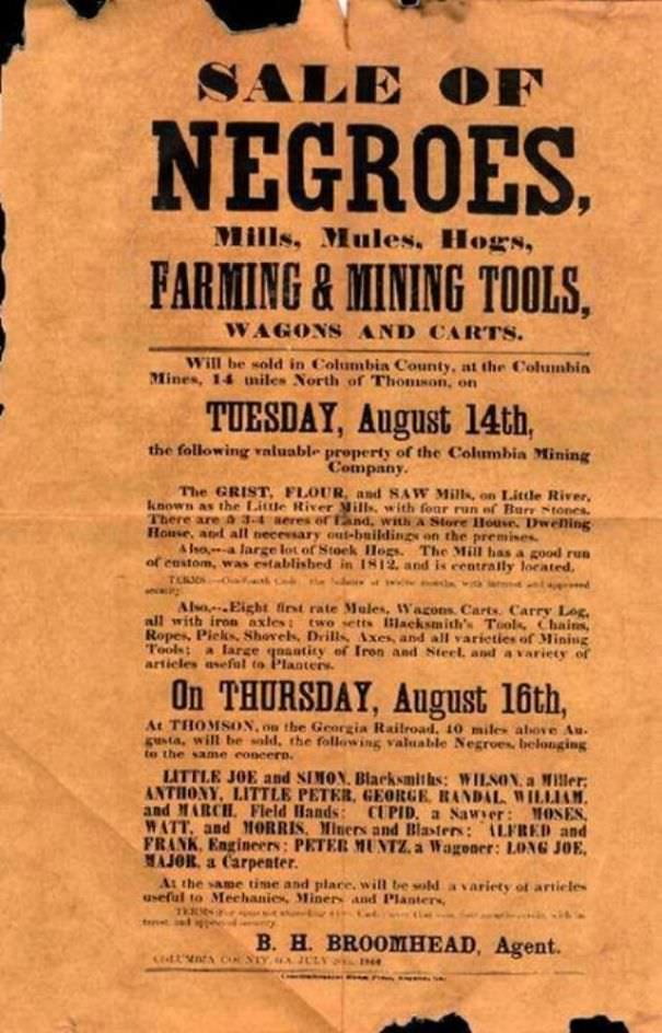 Sale of Negroes, Mills, Mules, Hogs.