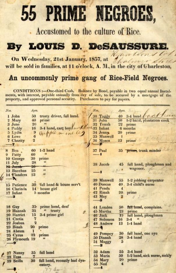 55 Prime Negroes, 1857.