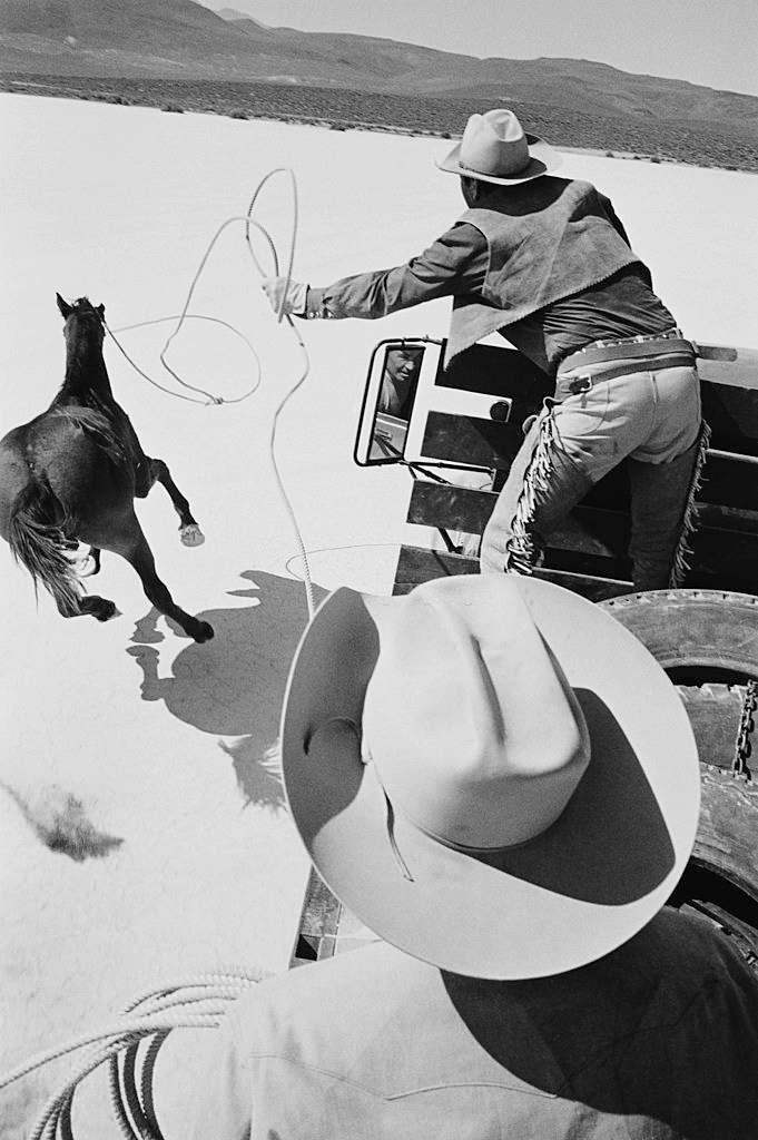 Stunt doubles attempt to lasso a mustang from the back of a truck, during the filming of 'The Misfits'