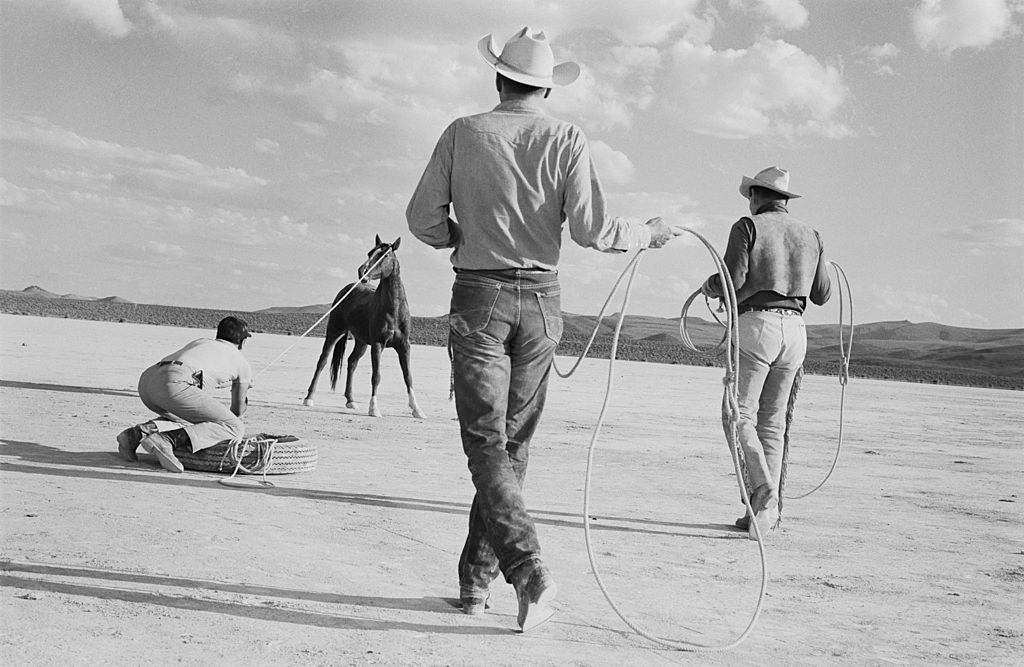 Clark Gable, Eli Wallach and Montgomery Clift roping a horse on location in the Nevada Desert during the filming of 'The Misfits'.