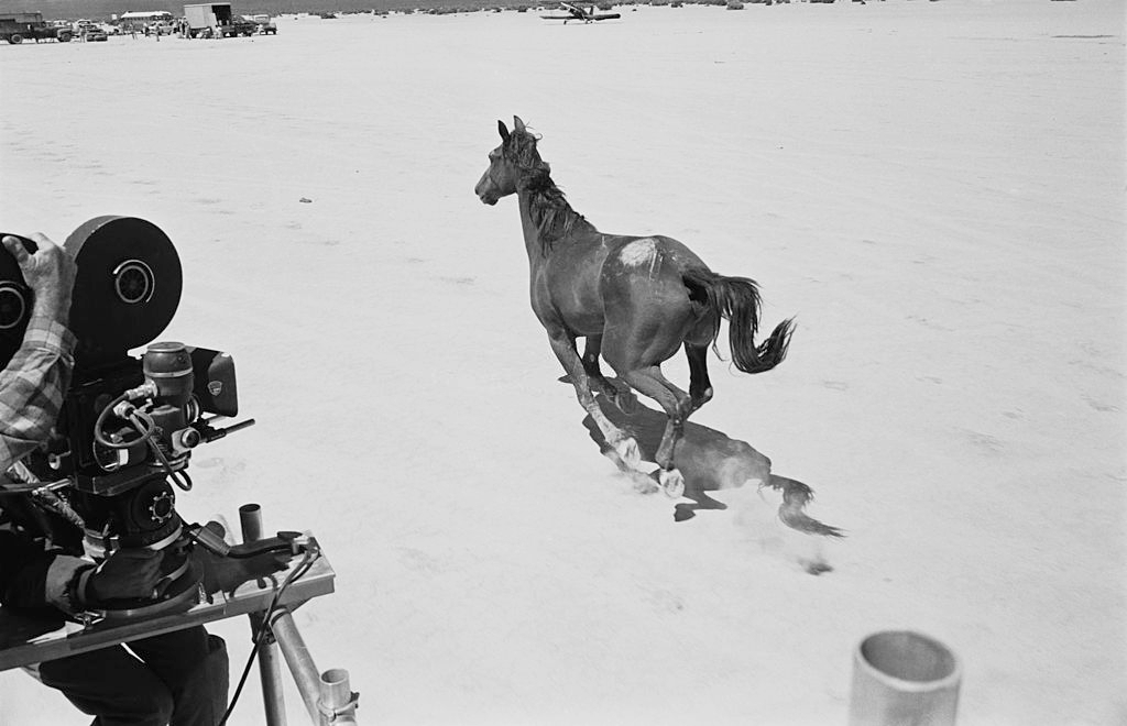 Cameramen taking footage of a galloping mustang from the back of a truck, during the filming of 'The Misfits' on location in the Nevada Desert.
