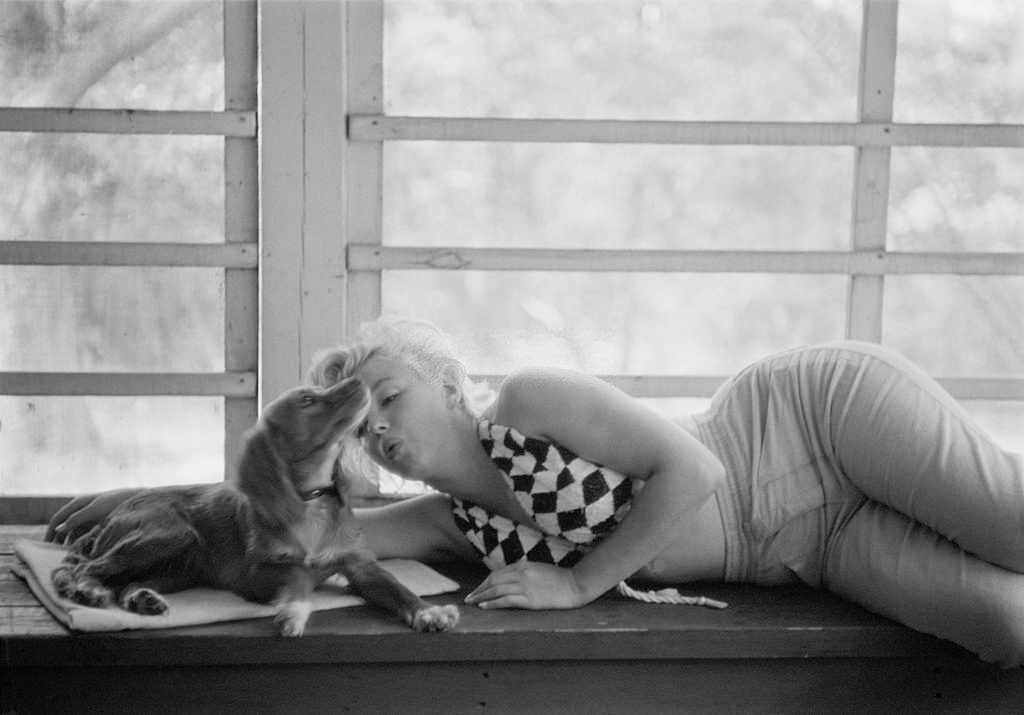 Marilyn Monroe cuddles up to a small dog, during the location shoot of 'The Misfits'