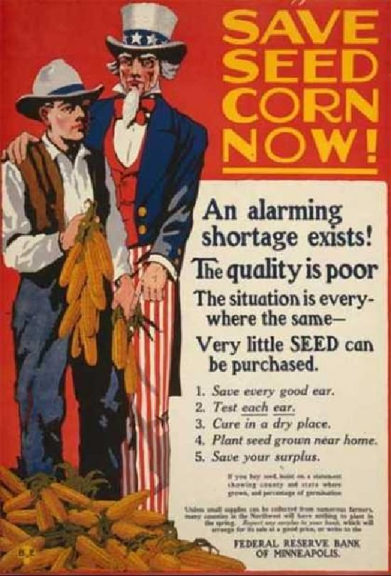 Everything is important during war times. Corn seeds are needed too