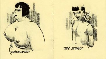 Breastypes! What's Yours? A Ridiculous 1940’s Pocket Comic Book that Labeled Different Shapes and Sizes of Woman’s Breast