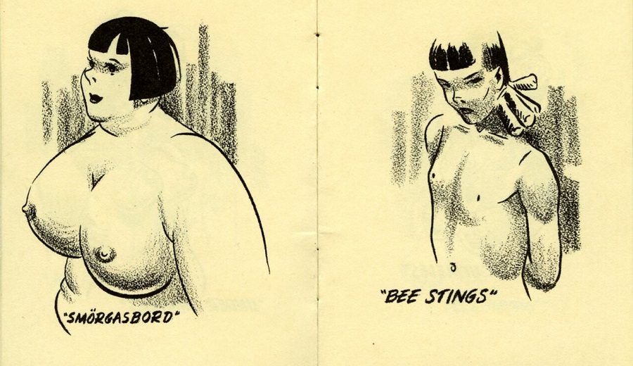 Breastypes! What's Yours? A Ridiculous 1940’s Pocket Comic Book that Labeled Different Shapes and Sizes of Woman’s Breast