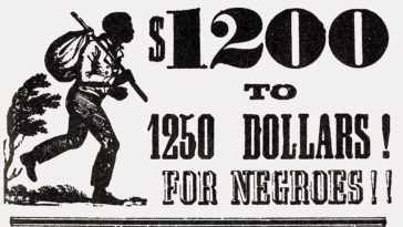 Slave Ads 19th-Century America