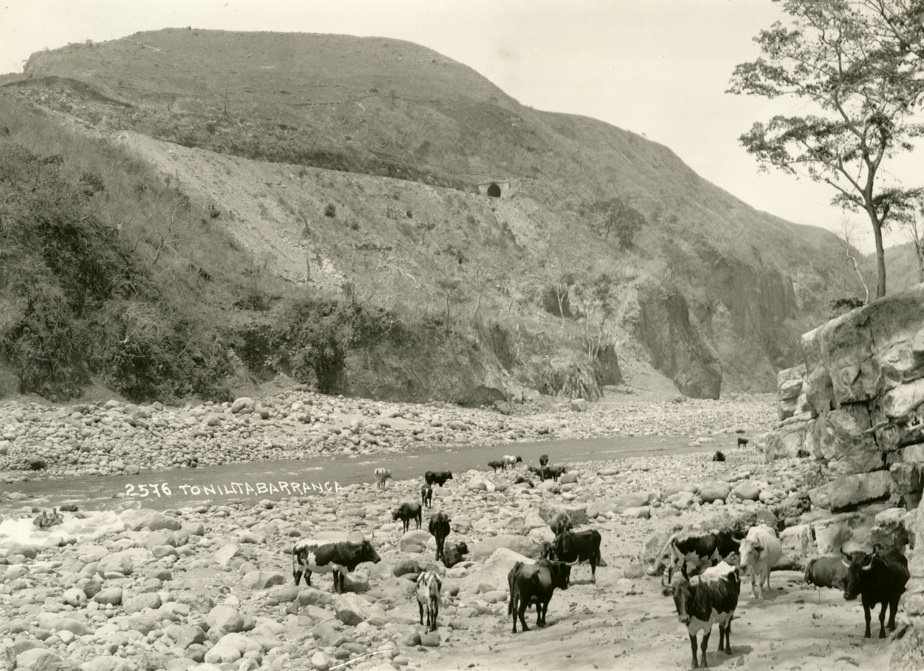 Tonilita Barranca. Mexico, 1906