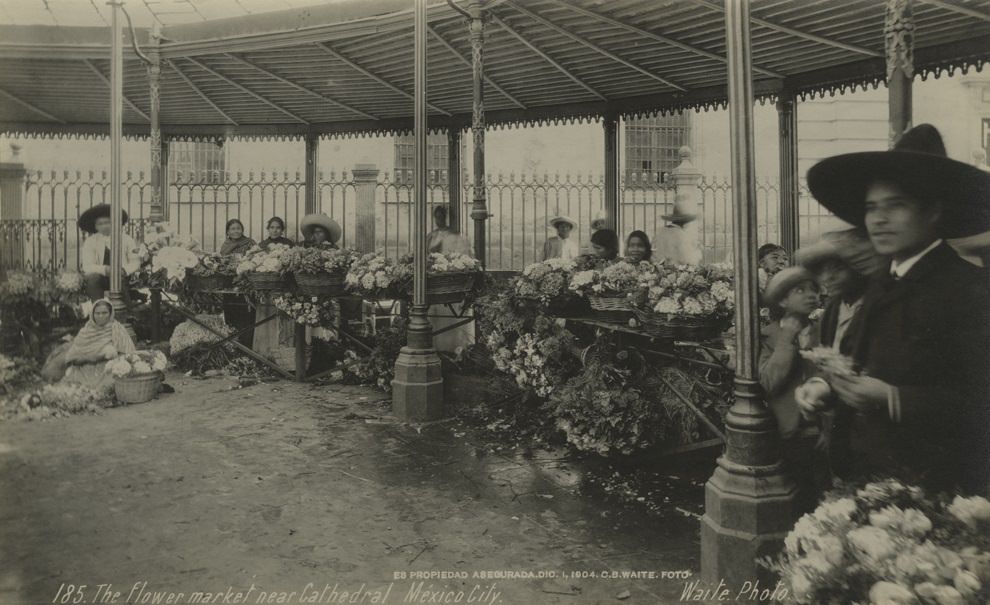 The flower market near Cathedral. Mexico City, 1904
