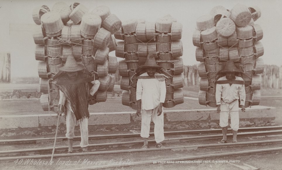 Wholesale loads of Mexican baskets, 1904