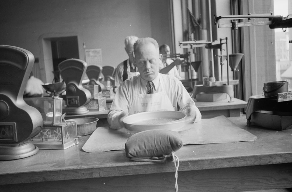 Grain inspector at state grain inspection deptartment, Minneapolis, 1930s.