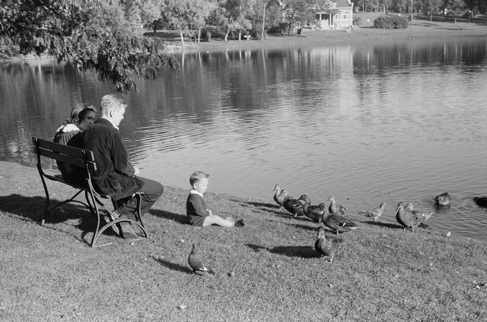A family feeding ducks in park on Saturday afternoon, Minneapolis, 1930s.