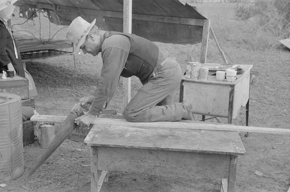 White migrant worker sawing wood for stakes to be used in setting up tent home, near Harlingen, Texas.