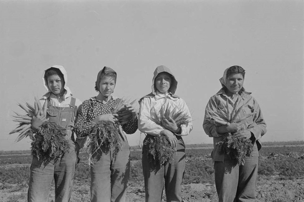 Mexican girl, carrot workers, Edinburg, Texas, February 1939.