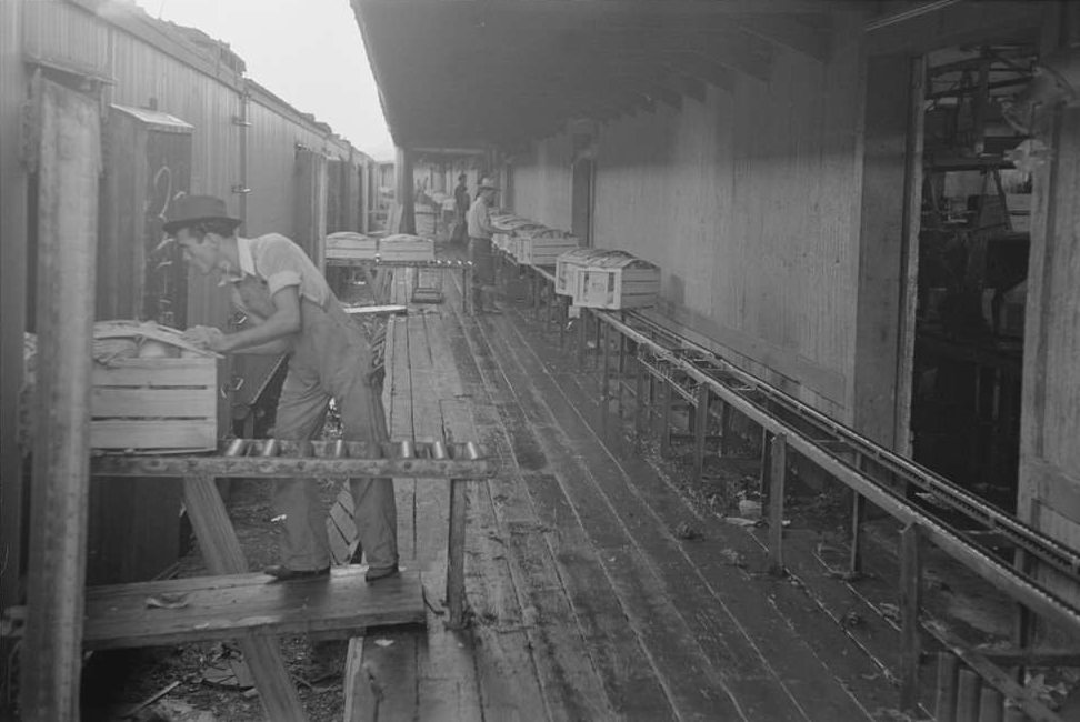 Loading platform of vegetable packinghouse at Elsa, Texas, February 1939.