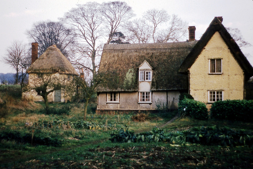 Cottage, 1953