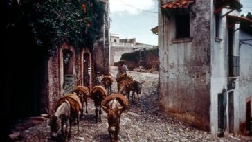 1950s Mexico: Cool Vintage Photos Show Street Scenes, Landmarks and Everyday Life