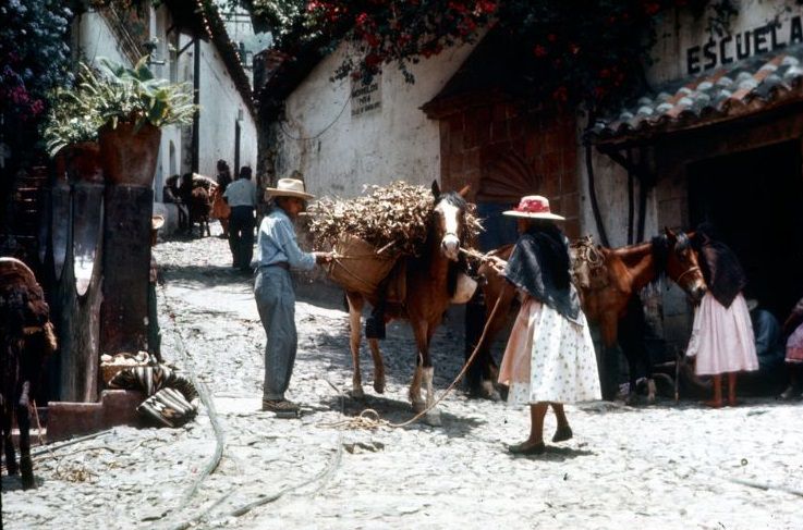 Couple with loaded horse on cobblestone street, 1950s
