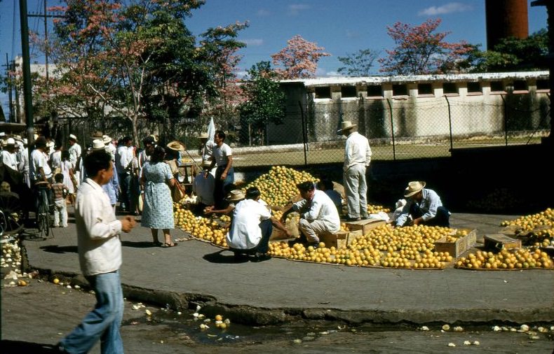 Oranges, Mérida 1957