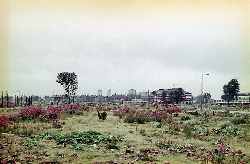 View over Hulme looking north from near to St Mary's church around 1967, showing the extensive area cleared in readiness for redevelopment.