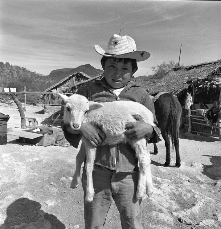 Young boy carrying goat at Rancho Represito, 1967