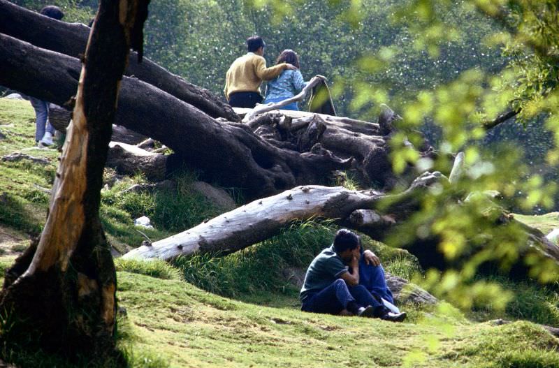 Couples in Chapultepec Park, 1968